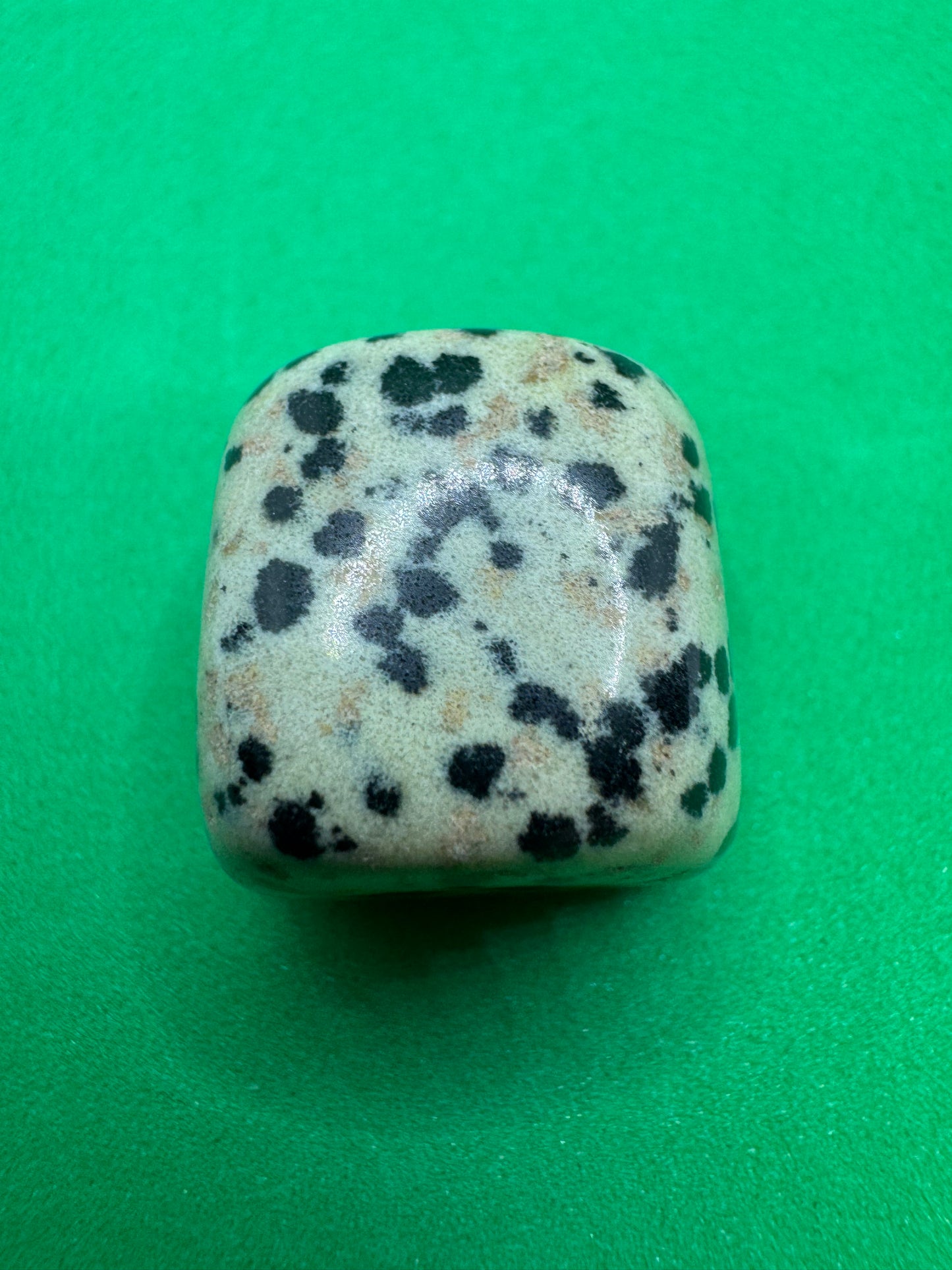 Pocket Gem Stone Dalmatian Jasper